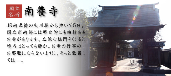 南養寺 ＪＲ南武線の矢川駅から歩いて５分。国立市南部には歴史的にも由緒あるお寺があります。立派な総門をくぐると境内はとっても静か。お寺の行事のお邪魔にならないように、そっと散策しては…。