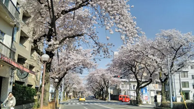 ひとり歩き　三岳　倉津　蘇州　桐野　薩摩茶屋 Amazon.co.jp: 手づくり本格焼酎 ひとり歩き ＜芋＞ 1.8L : 食品・飲料