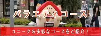 バラエティコース